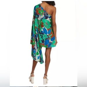 Cult Gaia Asymmetrical Dress in Green and Blue Floral